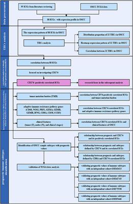 Immune Checkpoint Gene Expression Profiling Identifies Programmed Cell Death Ligand-1 Centered Immunologic Subtypes of Oral and Squamous Cell Carcinoma With Favorable Survival